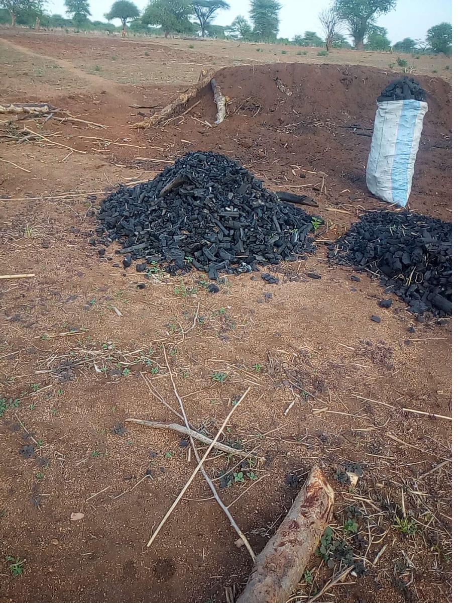 Field documentation from CCSLI community consultations and household visits in Idodi and Mapogoro villages