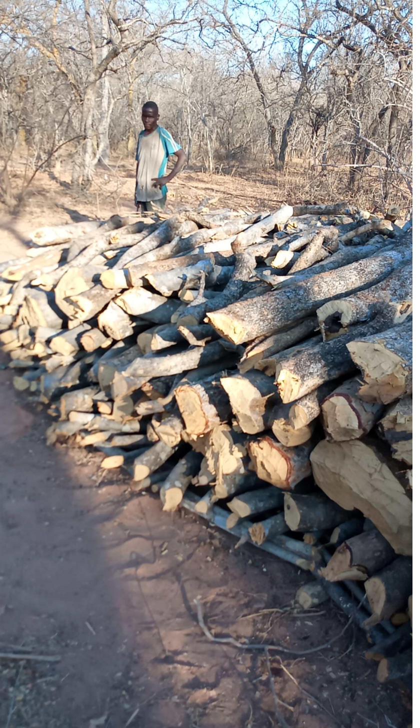 Field documentation from CCSLI community consultations and household visits in Idodi and Mapogoro villages
