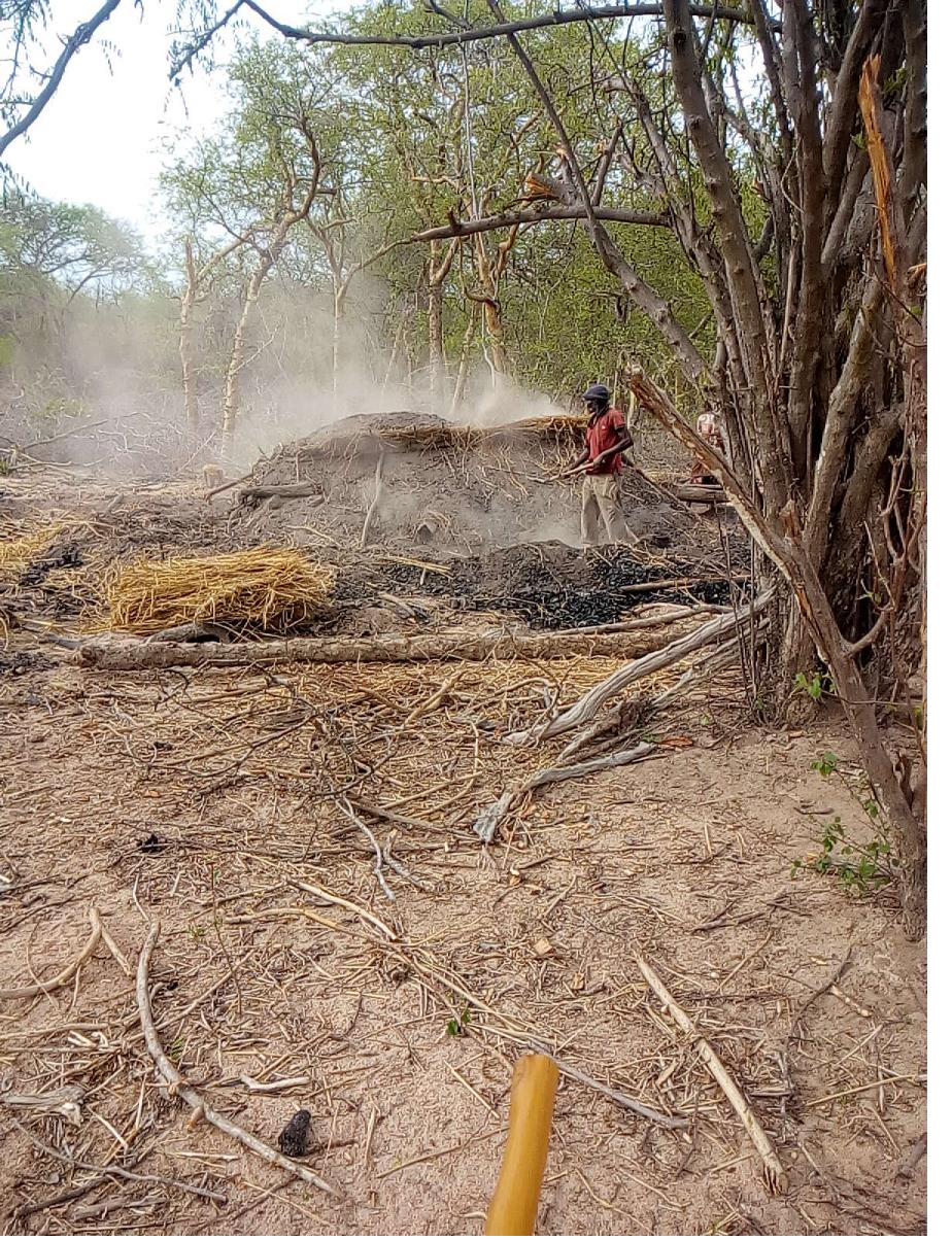 Field documentation from CCSLI community consultations and household visits in Idodi and Mapogoro villages