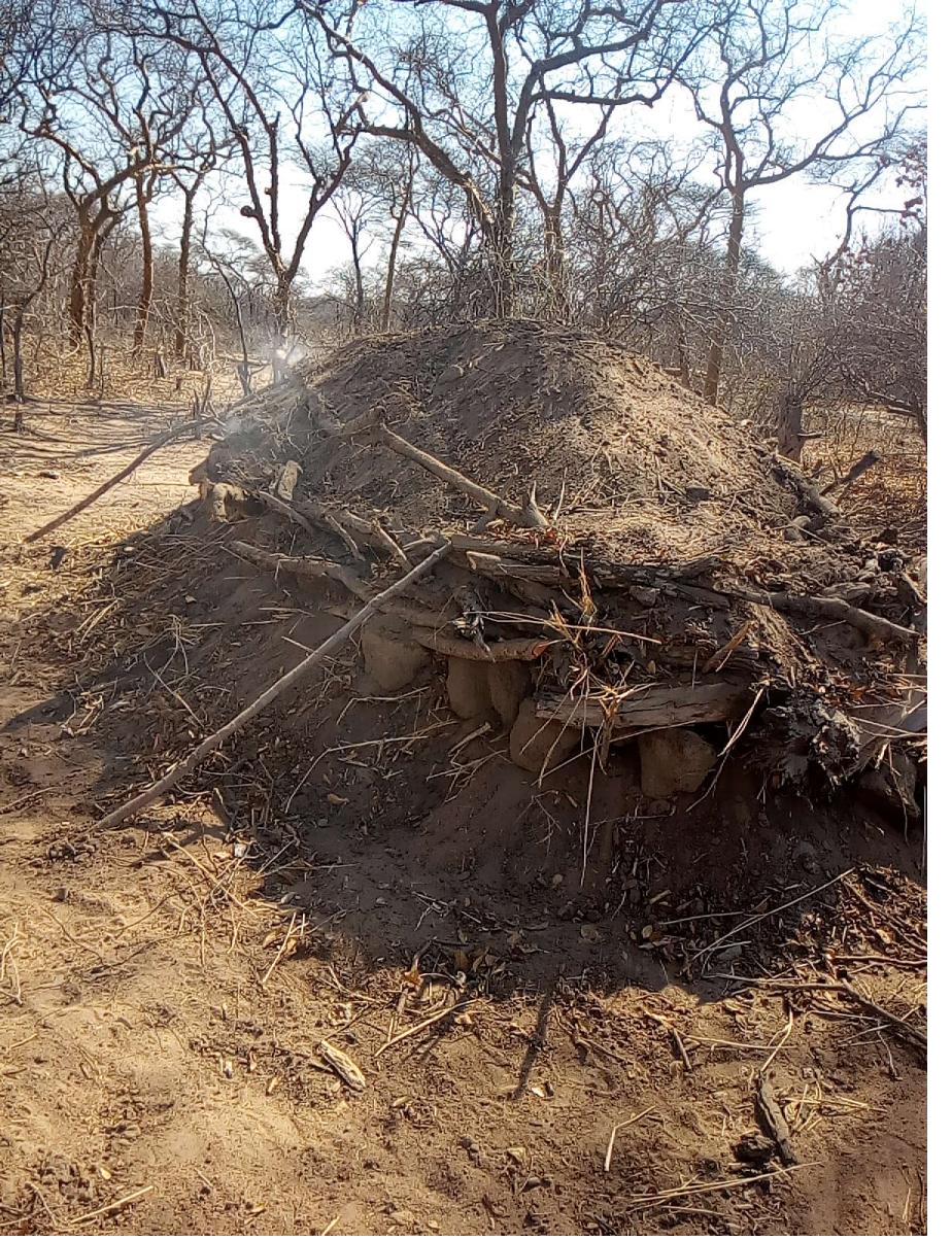 Field documentation from CCSLI community consultations and household visits in Idodi and Mapogoro villages