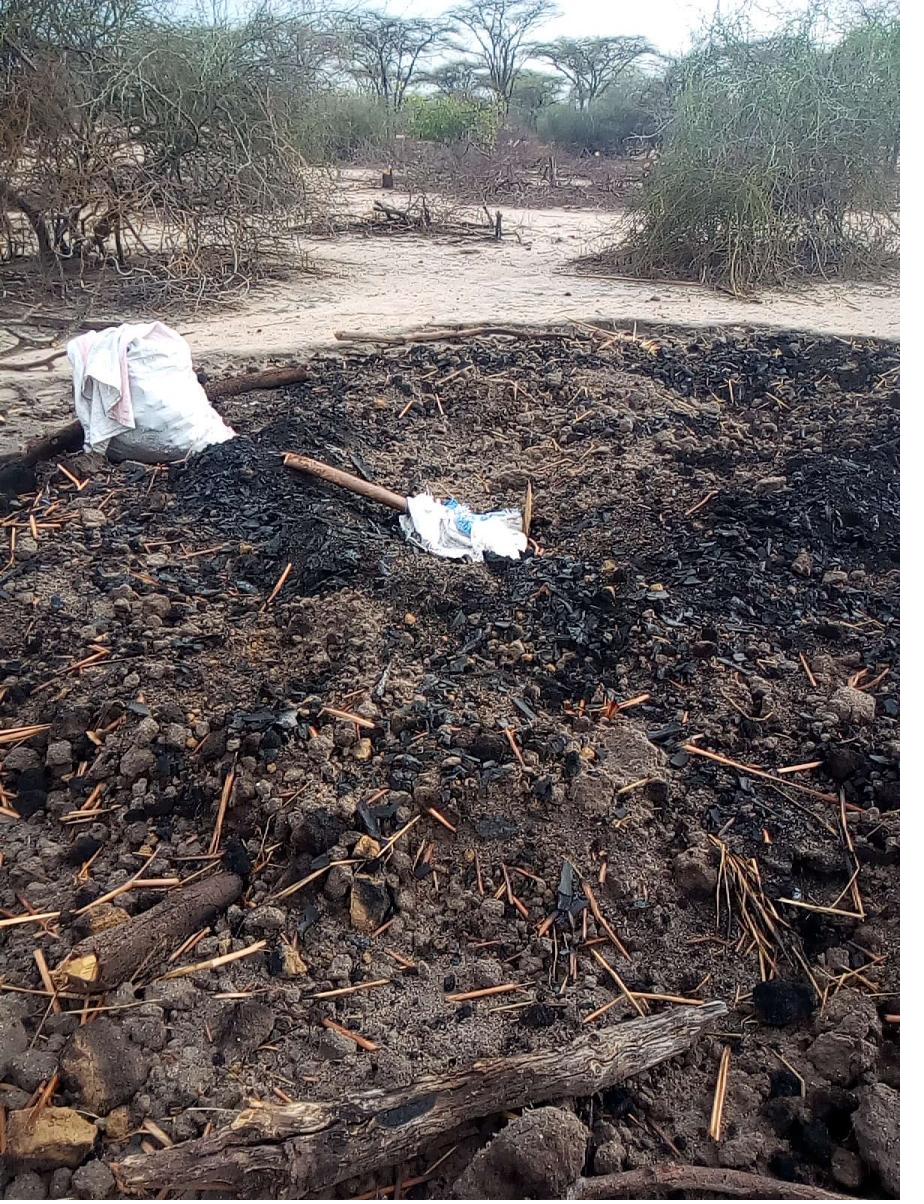 Field documentation from CCSLI community consultations and household visits in Idodi and Mapogoro villages
