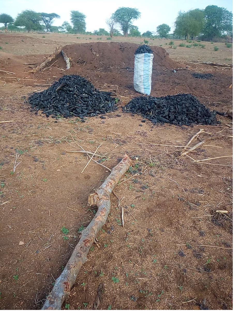 Field documentation from CCSLI community consultations and household visits in Idodi and Mapogoro villages
