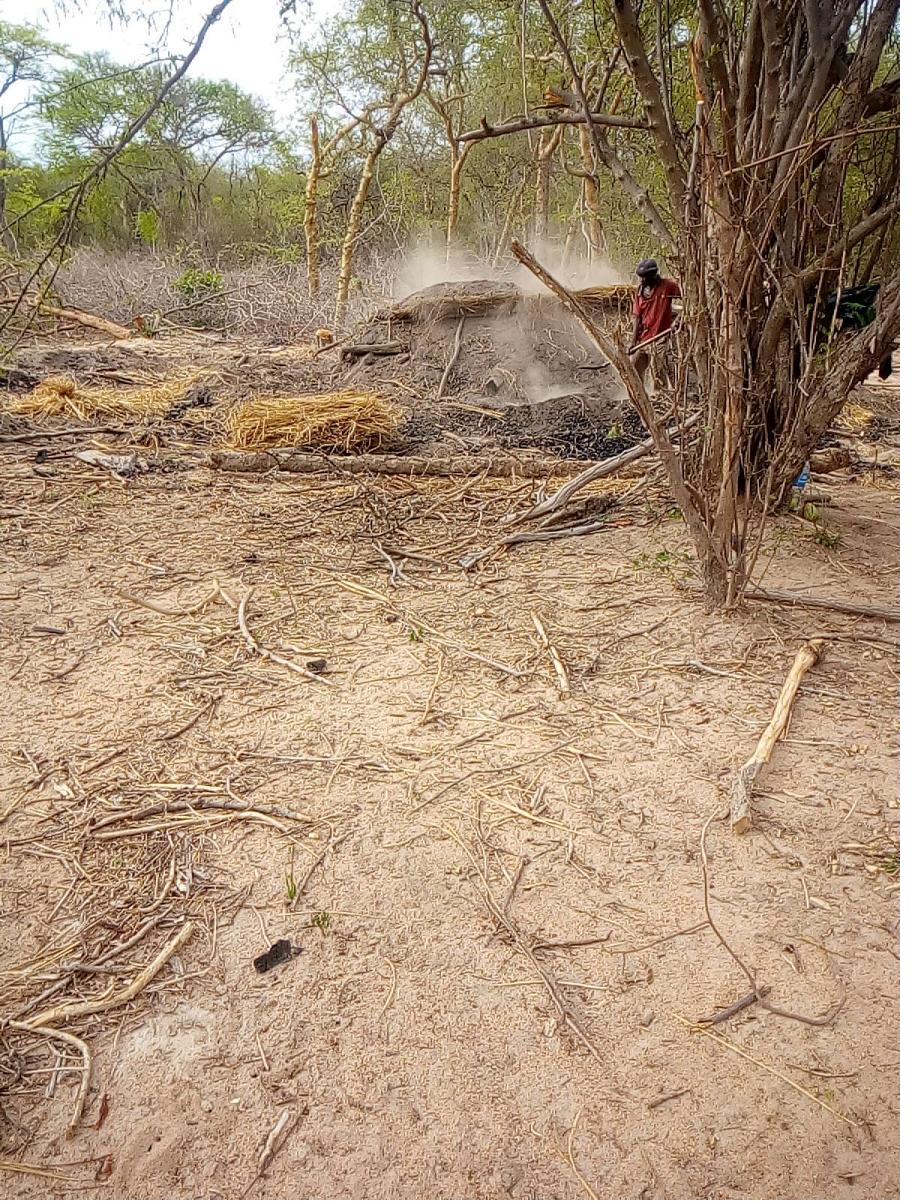 Field documentation from CCSLI community consultations and household visits in Idodi and Mapogoro villages