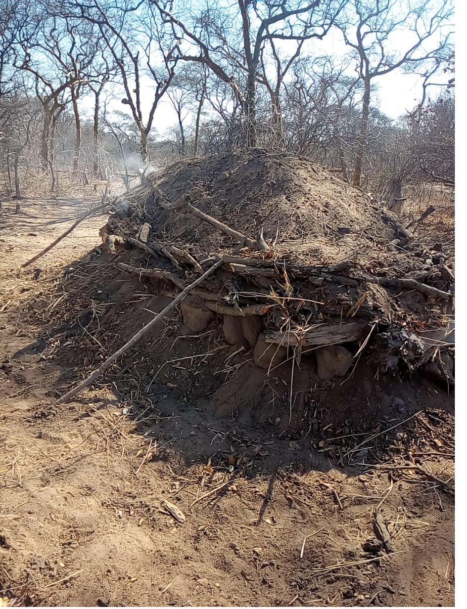 Field documentation from CCSLI community consultations and household visits in Idodi and Mapogoro villages