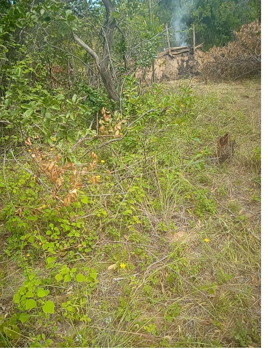 Field documentation from CCSLI community consultations and household visits in Idodi and Mapogoro villages